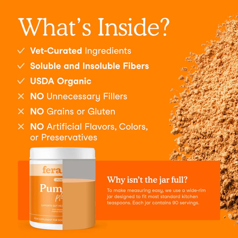 Pumpkin Plus Fiber Support