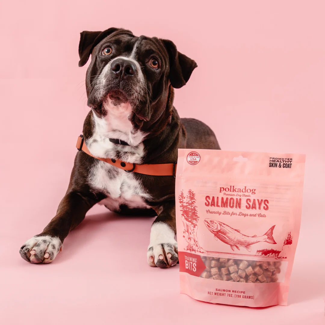 salmonsaysbits-pink.webp