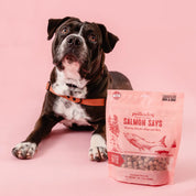 Polkadog Salmon Says