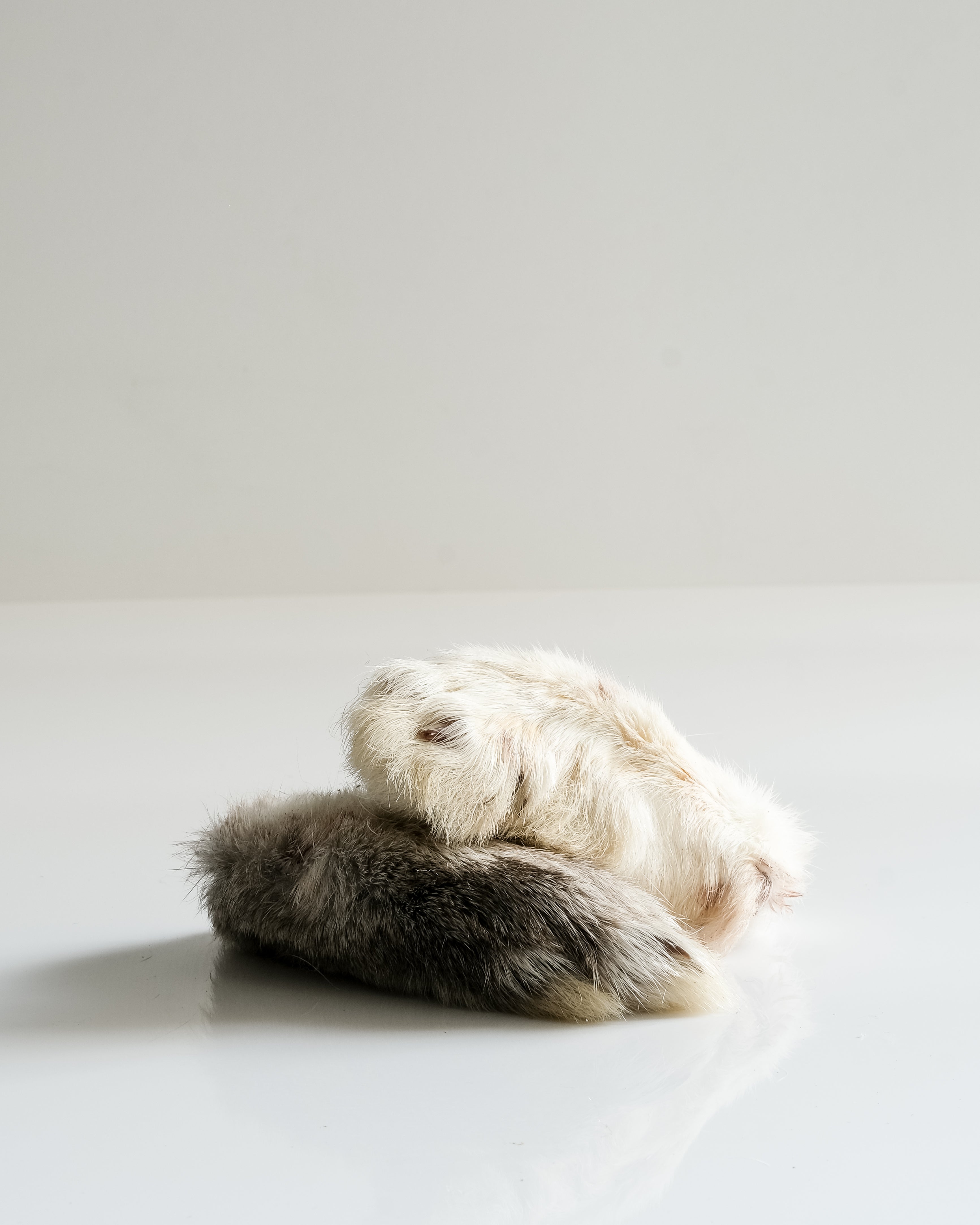 Air-Dried Rabbit Feet